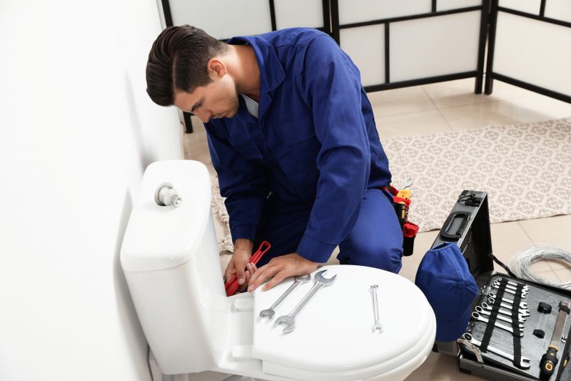 Commercial Toilet Repair