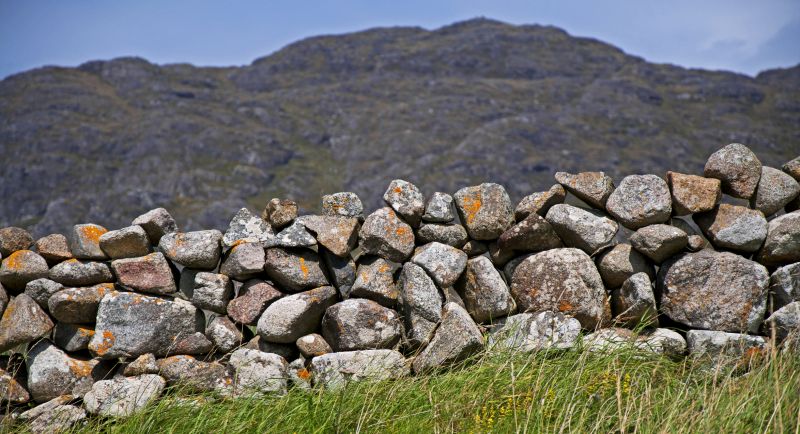 Stone Wall Hardscaping