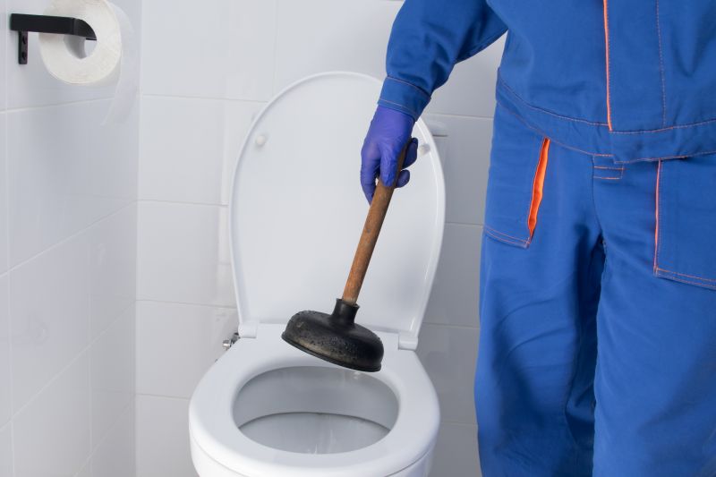 Toilet Plunging