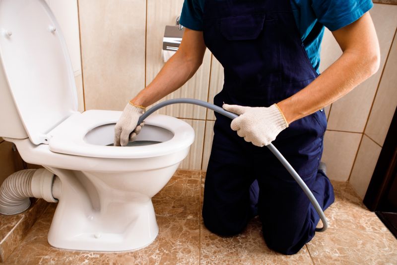 Toilet Plunging